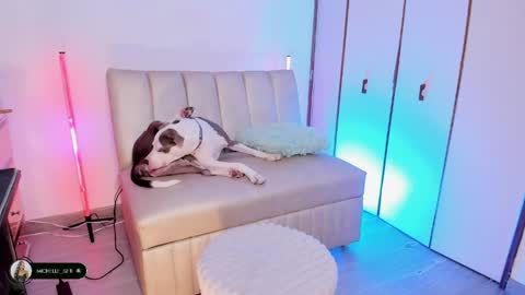 Michelle online show from 04.15.26