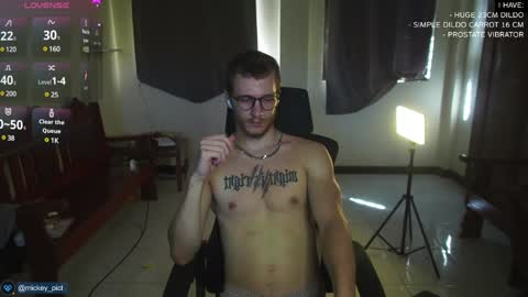 Snapshot of mickey_pict chatting on 12.11.24 Mickey online show from 12.11.24