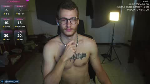 Snapshot of mickey_pict chatting on 12.15.24 Mickey online show from 12.15.24