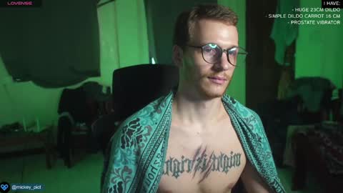 Snapshot of mickey_pict chatting on 12.22.24 Mickey online show from 12.22.24