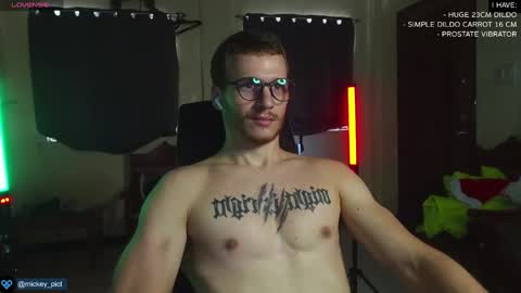 Snapshot of mickey_pict chatting on 12.25.24 Mickey online show from 12.25.24