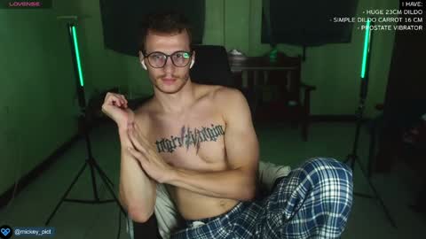 Snapshot of mickey_pict chatting on 12.25.24 Mickey online show from 12.25.24