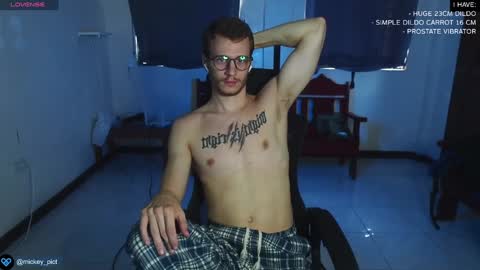 Snapshot of mickey_pict chatting on 12.27.24 Mickey online show from 12.27.24