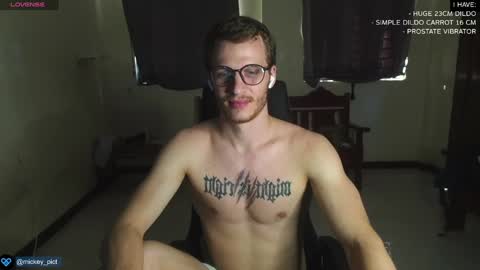 Snapshot of mickey_pict chatting on 12.29.24 Mickey online show from 12.29.24