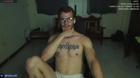 Snapshot of mickey_pict chatting on 12.29.24 Mickey online show from 12.29.24