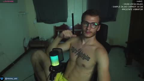 Snapshot of mickey_pict chatting on 12.30.24 Mickey online show from 12.30.24