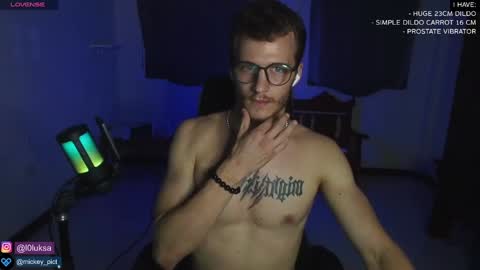 Snapshot of mickey_pict chatting on 01.05.25 Mickey online show from 01.05.25