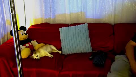 Snapshot of mickeyshyne69 chatting on 02.28.25 Mickey online show from 02.28.25