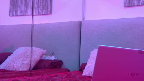 Snapshot of mickeyshyne69 chatting on 11.27.25 Mickey online show from 11.27.25