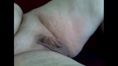 Snapshot of micropimmel chatting on 11.02.25 micropimmel online show from 11.02.25