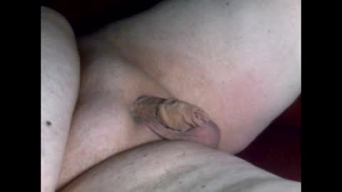 micropimmel online show from 03.19.26