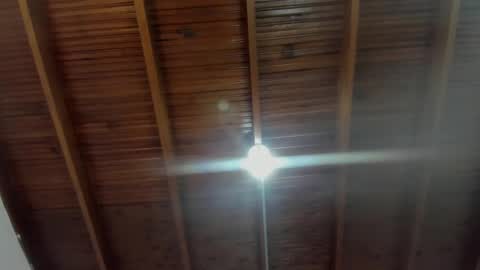 Mila Rose online show from 12.31.24