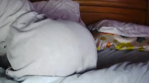 Snapshot of milfytitts chatting on 10.16.25 MilfyTitts online show from 10.16.25