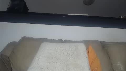 C online show from 02.03.25