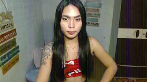 NEL 23 online show from 11.12.25