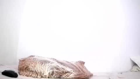 mina smith online show from 03.24.26