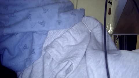 miniorganismo online show from 12.05.25