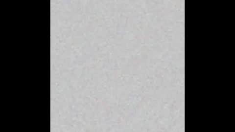 miniorganismo online show from 12.14.25