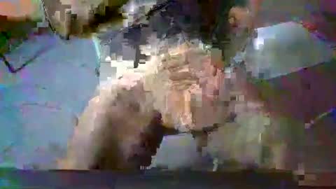 Snapshot of minoas31 chatting on 12.13.24 minoas31 online show from 12.13.24