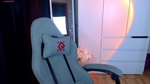 Snapshot of miraraid chatting on 12.22.24 miraraid online show from 12.22.24