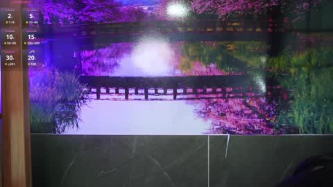 Ally online show from 01.28.25