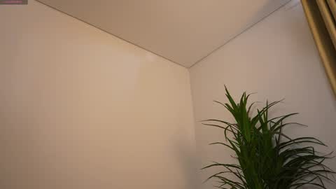 miss airi online show from 03.01.26