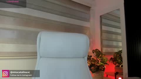 Catalina online show from 03.24.26