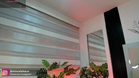 Catalina online show from 04.06.26