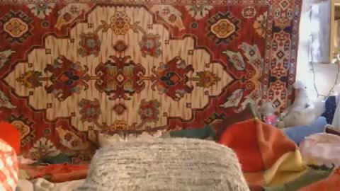 Elis online show from 11.14.25