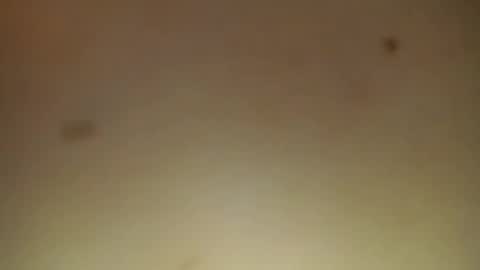 lilieth  online show from 11.15.25