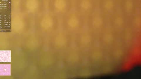 Morgan next stream tomorrow 0000 poland time online show from 01.06.26