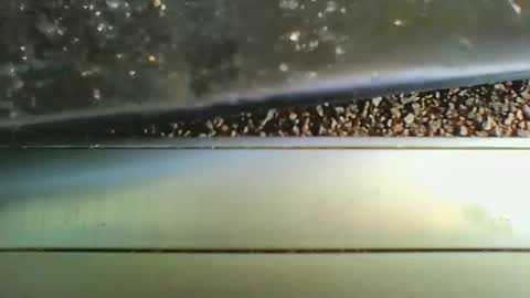 missdarkmatter69 online show from 12.19.25