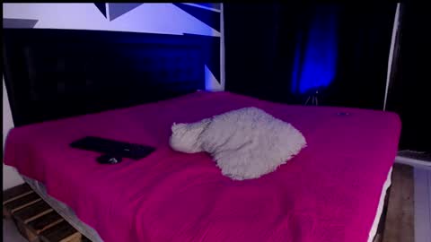 Miss Loise online show from 01.29.25