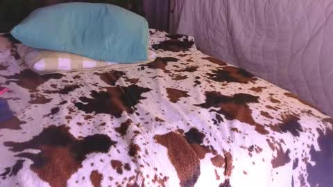 Anastacia online show from 11.12.25