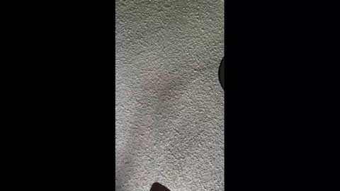 mister_nasty online show from 10.03.25