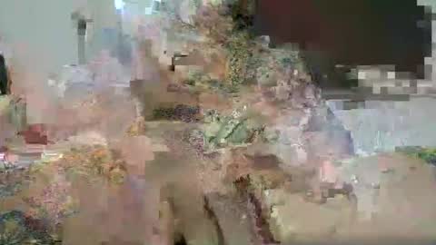 mr Tattoo XXL online show from 05.04.26