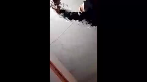 Handsome online show from 02.05.25