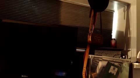 mistressdannydarko online show from 06.21.26