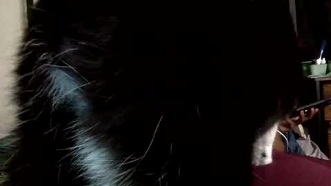 Snapshot of mistressmystii chatting on 03.01.26 Mistress Mystii online show from 03.01.26