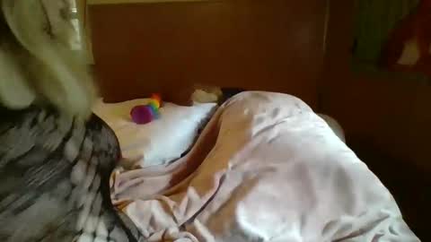 MichelleBunny7 online show from 02.05.25