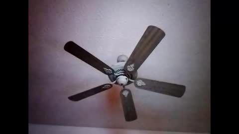 BobbyMitchGa online show from 12.15.24