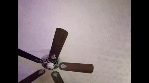 BobbyMitchGa online show from 01.04.25