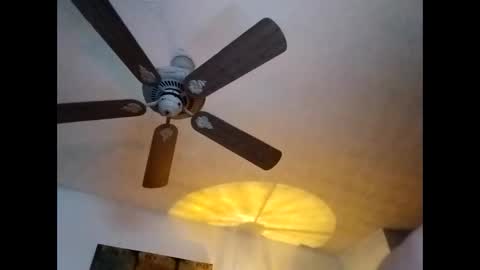 BobbyMitchGa online show from 01.07.25