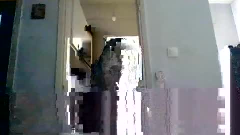 mmpempis81 online show from 02.22.25