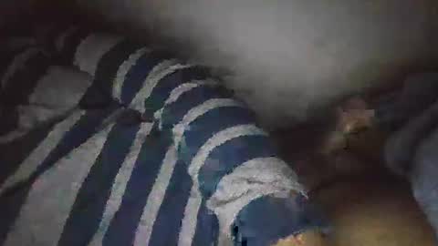 moeydsad4 online show from 11.22.25