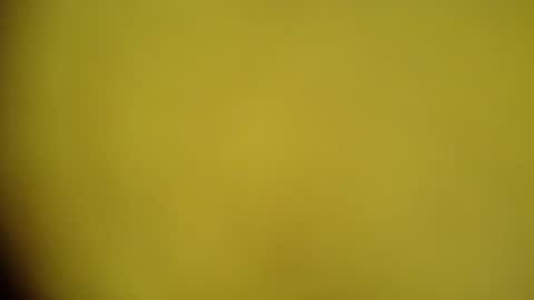 mohamedasif123 online show from 01.29.25