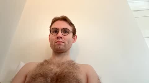 molliter online show from 04.02.26