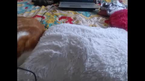 Molly And Brad online show from 02.05.25