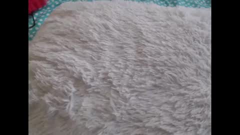 Molly And Brad online show from 02.06.25