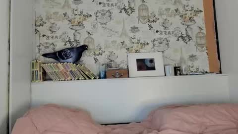 Liza online show from 09.15.25